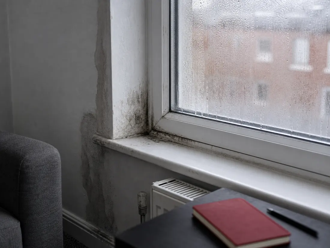 Condensation and water staining around a window frame